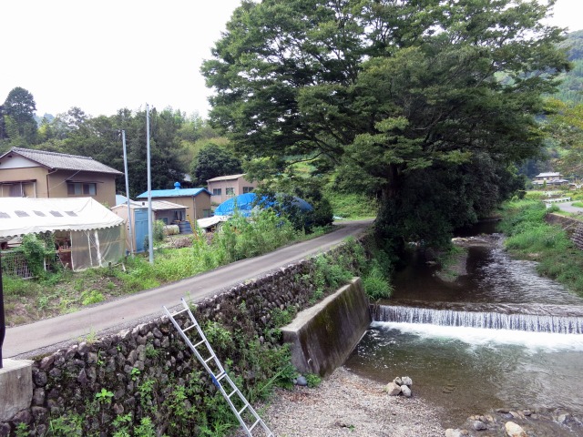 瀬戸川水系滝之谷川